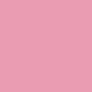 8534 Rose Pink